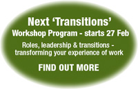 Transitions workshop program 2012